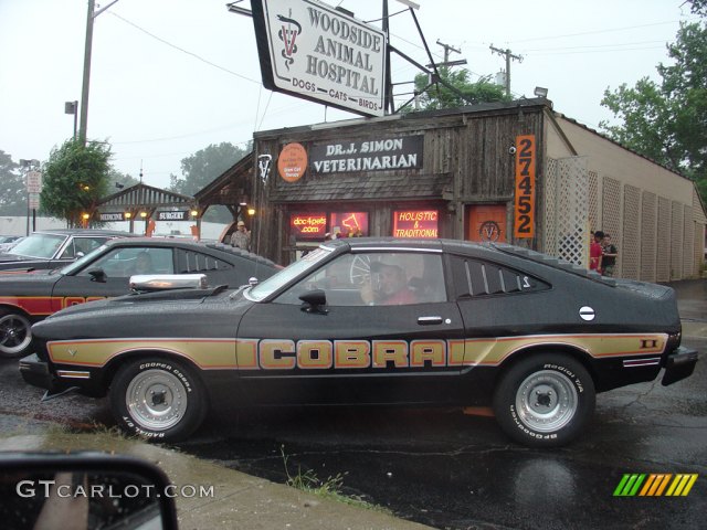 The 2011 Woodward Dream Cruise